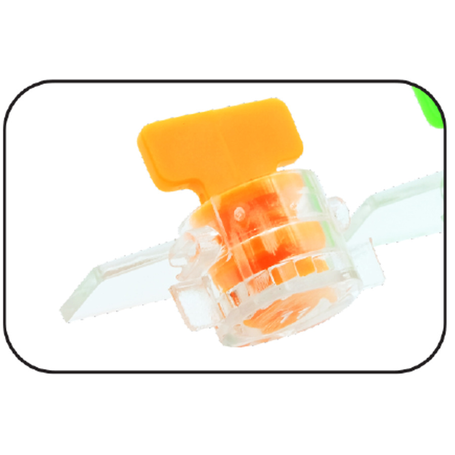 Twist Lock Standard